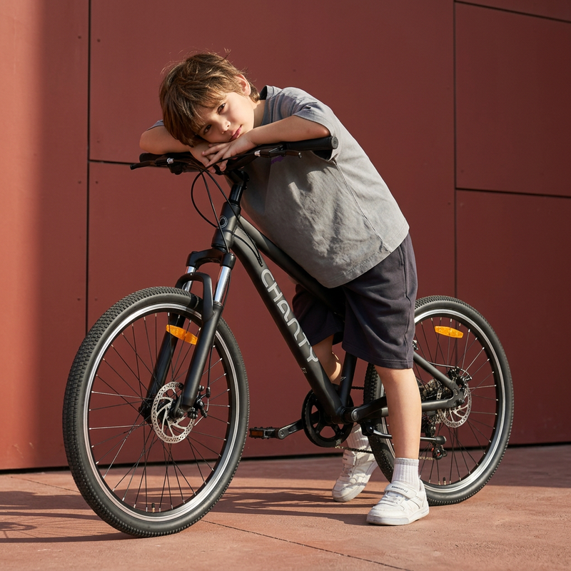 Chanty MTB 26" sort