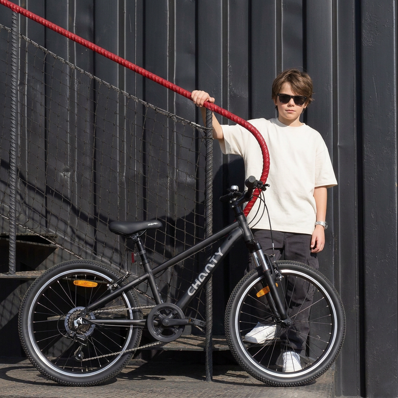 Chanty MTB 20" sort